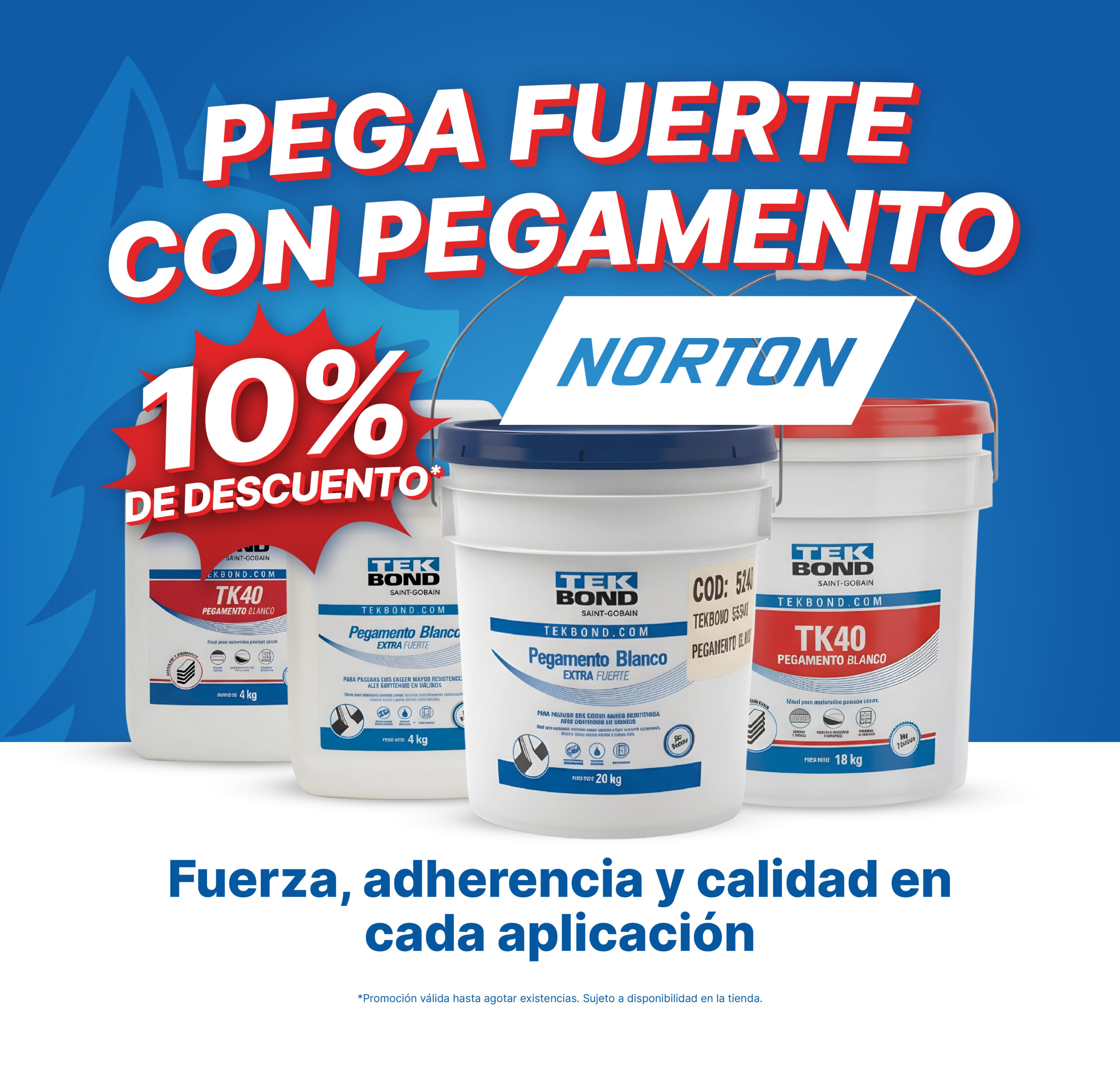 Imagen frontal